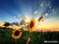 沈阳信德科技发展有限公司