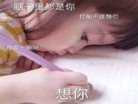 沈阳信德科技发展有限公司