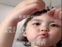 沈阳信德科技发展有限公司