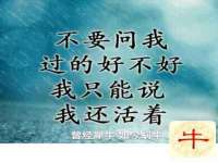 沈阳信德科技发展有限公司