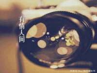 沈阳信德科技发展有限公司