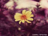 沈阳信德科技发展有限公司