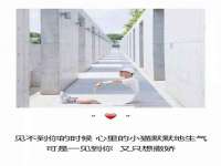 沈阳信德科技发展有限公司