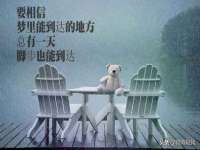 沈阳信德科技发展有限公司
