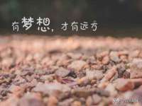 沈阳信德科技发展有限公司