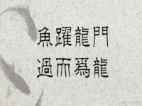 沈阳信德科技发展有限公司