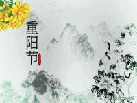 沈阳信德科技发展有限公司