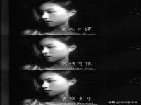 沈阳信德科技发展有限公司