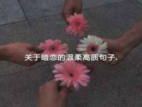 沈阳信德科技发展有限公司