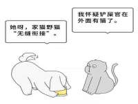 沈阳信德科技发展有限公司
