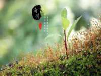 沈阳信德科技发展有限公司