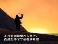 沈阳信德科技发展有限公司