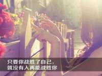 沈阳信德科技发展有限公司