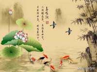 沈阳信德科技发展有限公司