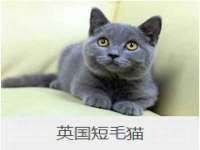 沈阳信德科技发展有限公司