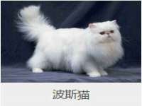 沈阳信德科技发展有限公司