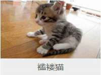 沈阳信德科技发展有限公司