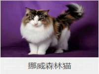 沈阳信德科技发展有限公司