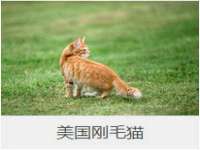 沈阳信德科技发展有限公司