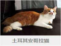 沈阳信德科技发展有限公司