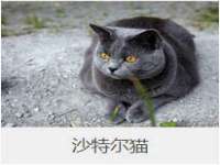 沈阳信德科技发展有限公司