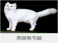 沈阳信德科技发展有限公司