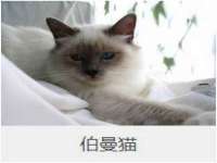 沈阳信德科技发展有限公司
