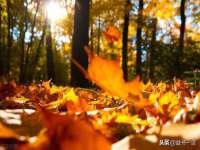 沈阳信德科技发展有限公司