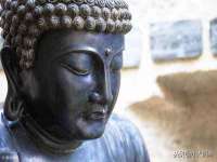 沈阳信德科技发展有限公司