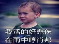 沈阳信德科技发展有限公司