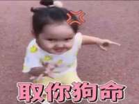 沈阳信德科技发展有限公司