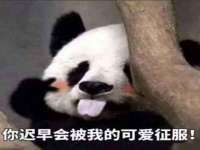 沈阳信德科技发展有限公司