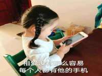 沈阳信德科技发展有限公司