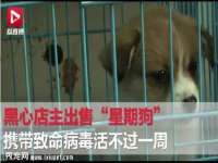 沈阳信德科技发展有限公司