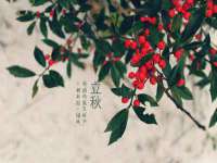 沈阳信德科技发展有限公司