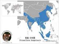 沈阳信德科技发展有限公司