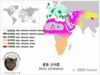 沈阳信德科技发展有限公司