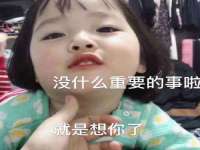 沈阳信德科技发展有限公司