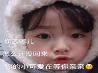沈阳信德科技发展有限公司