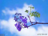 沈阳信德科技发展有限公司