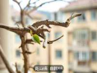 沈阳信德科技发展有限公司