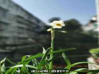 沈阳信德科技发展有限公司