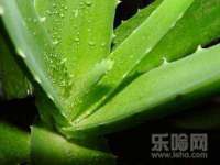 沈阳信德科技发展有限公司