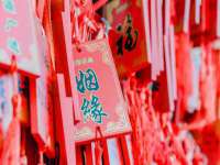 沈阳信德科技发展有限公司