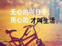 沈阳信德科技发展有限公司