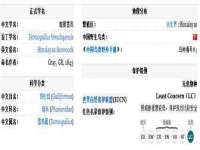 沈阳信德科技发展有限公司
