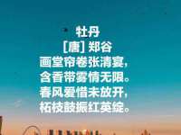沈阳信德科技发展有限公司