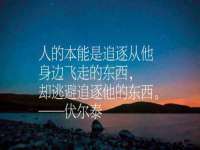 沈阳信德科技发展有限公司