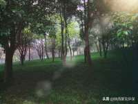 沈阳信德科技发展有限公司