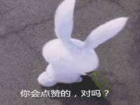 沈阳信德科技发展有限公司